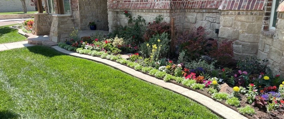 Home in Wolfforth, TX, with annual and perennial flowers.