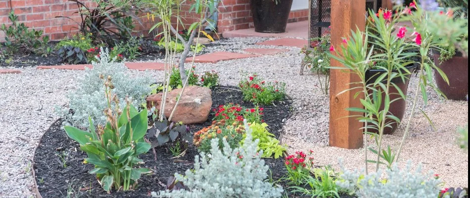 A beautiful landscape in Lubbock, TX.