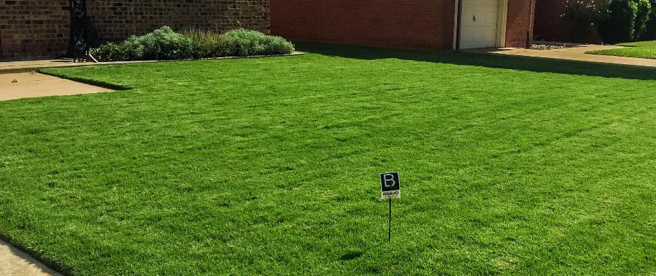 Dense green lawn and plantings in Post, TX.