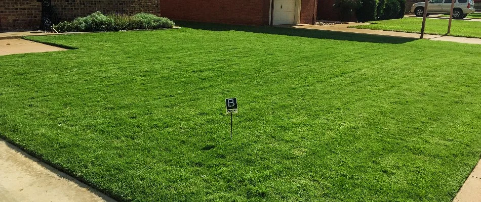 Dense, green lawn in Crosbyton, TX.