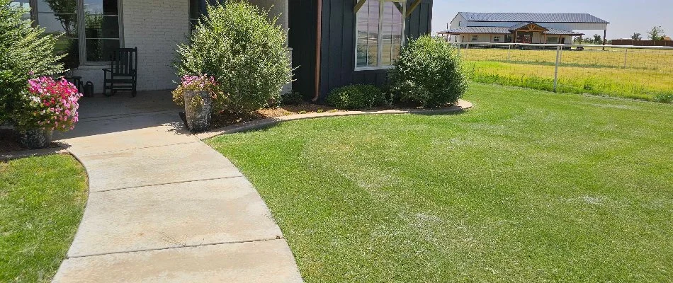 Healthy lawn recently mowed in Plainview, TX.