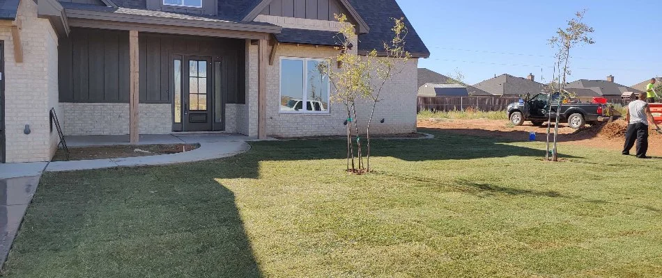 Sod on a residential property in Lubbock, TX.