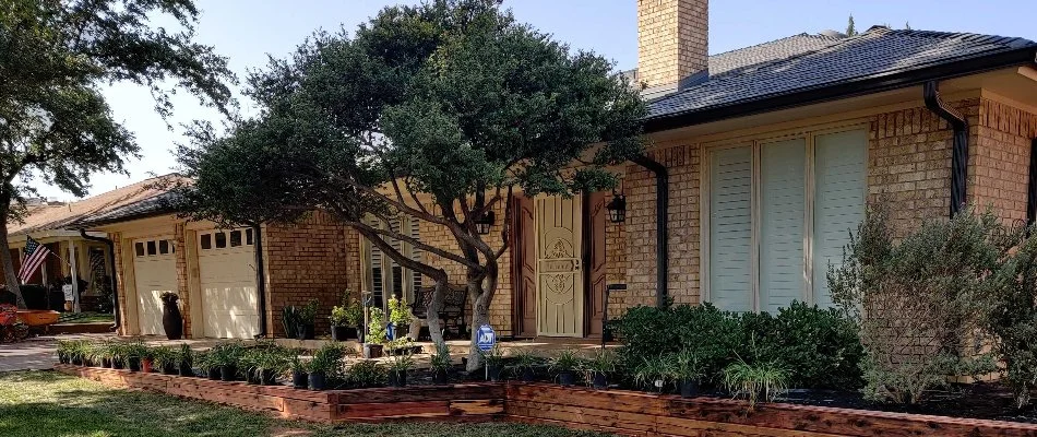 Front yard in Lamesa, TX, with trees and shrubs.