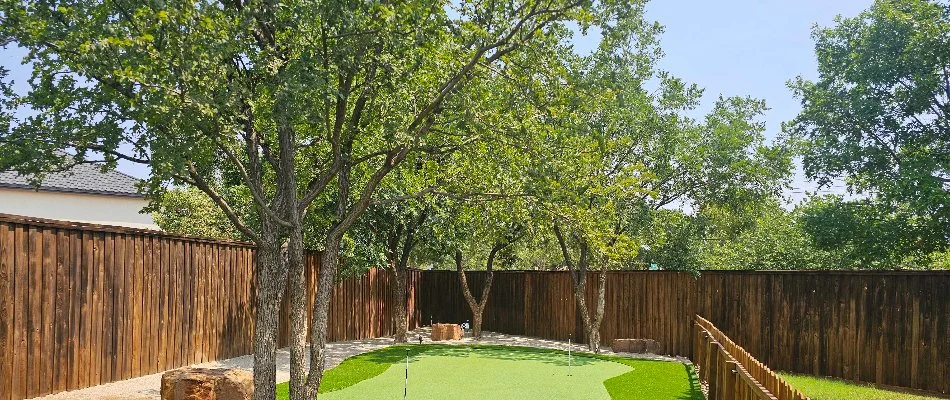 Backyard in Lockney, TX, with trees.